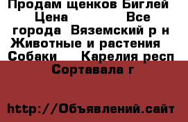 Продам щенков Биглей › Цена ­ 15 000 - Все города, Вяземский р-н Животные и растения » Собаки   . Карелия респ.,Сортавала г.